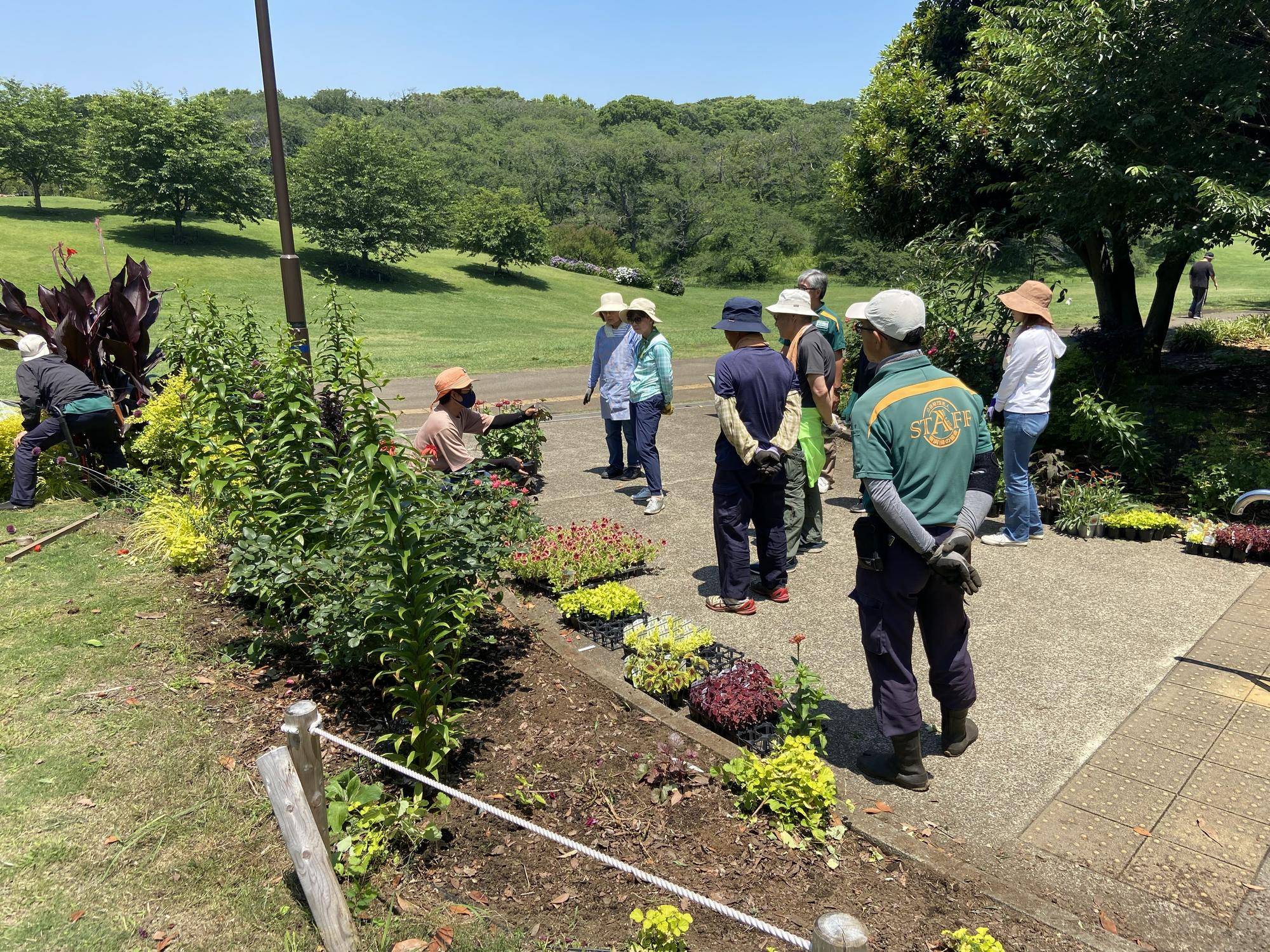 市民協働花壇の植え替え作業の写真