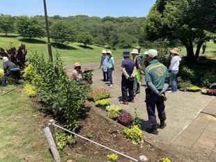 市民協働花壇の植え替え作業