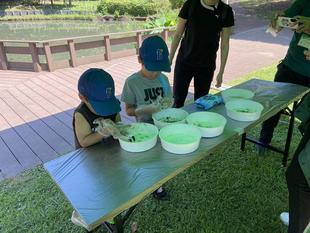 キノコト・ハナノコト「たねダンゴを作ろう」