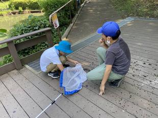 トンボとり大作戦