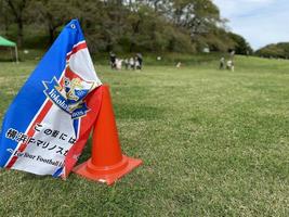 根岸森林公園スポーツデー