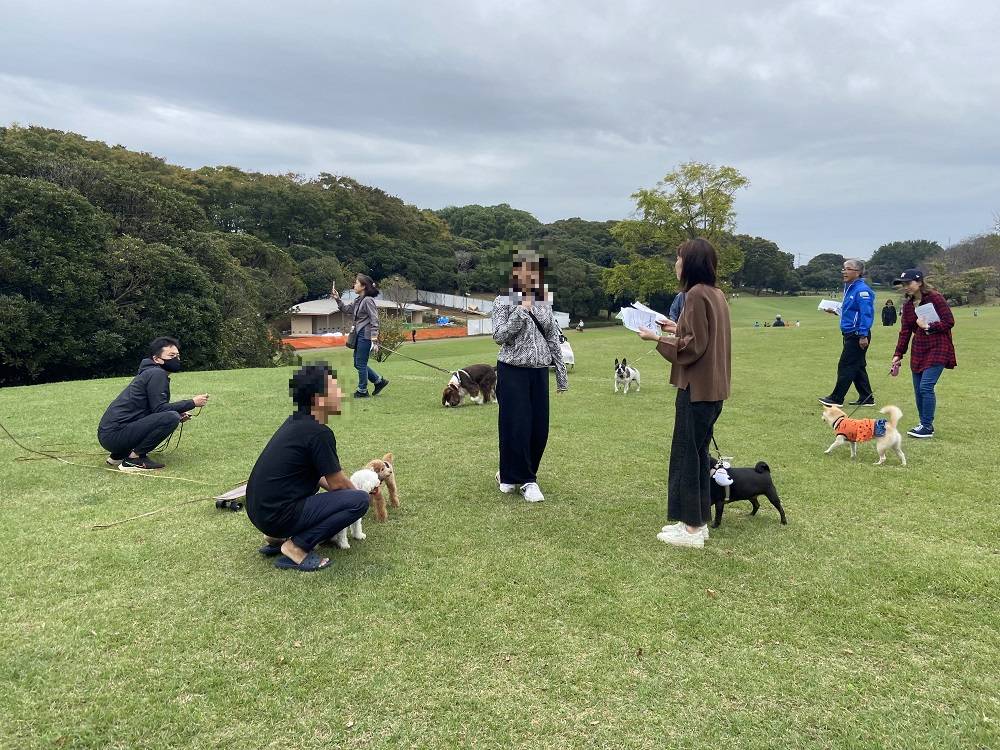 わんわんパトロールの写真