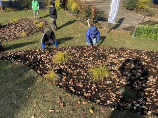 球根ミックス花壇