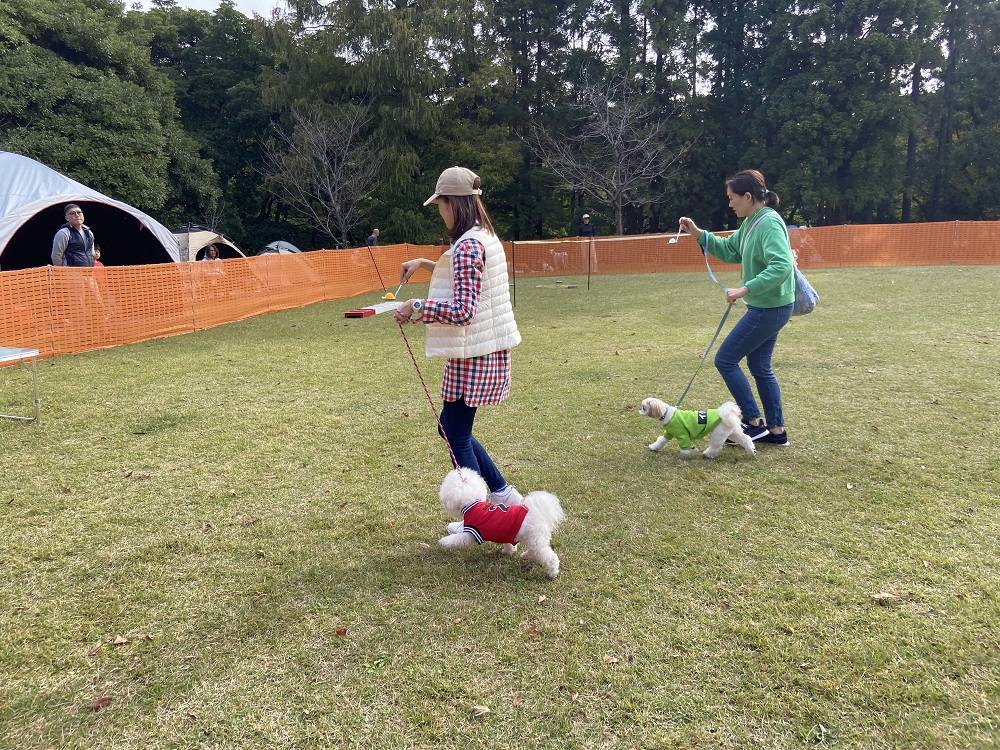 第3回犬の運動会の写真