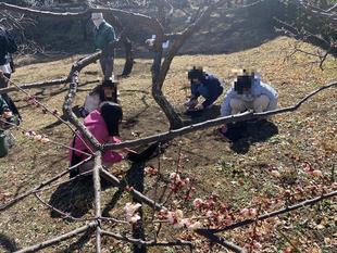 バイリンジャー活動