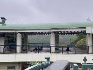 雨の日のパークヨガ