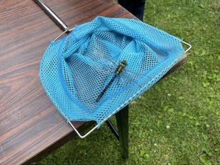 今年もトンボとり大作戦が始まりました。