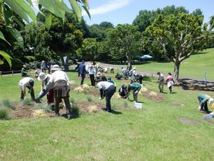 たねダンゴづくり研修会が開催されました。