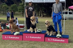 第4回 犬の運動会