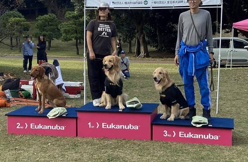  第5回 犬の運動会の画像