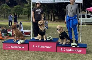 第4回 犬の運動会