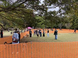 11月のドッグラン