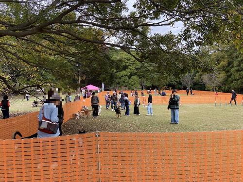 11月のドッグランの画像