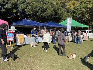 わんわんマルシェ