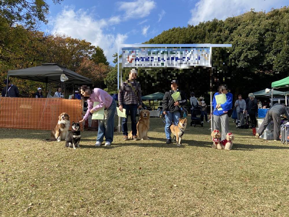 第４代わんわんアンバサダーの写真