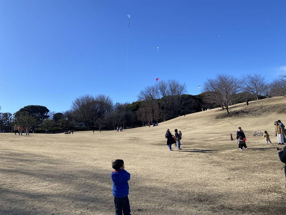 外遊び大作戦（凧あげ）の写真