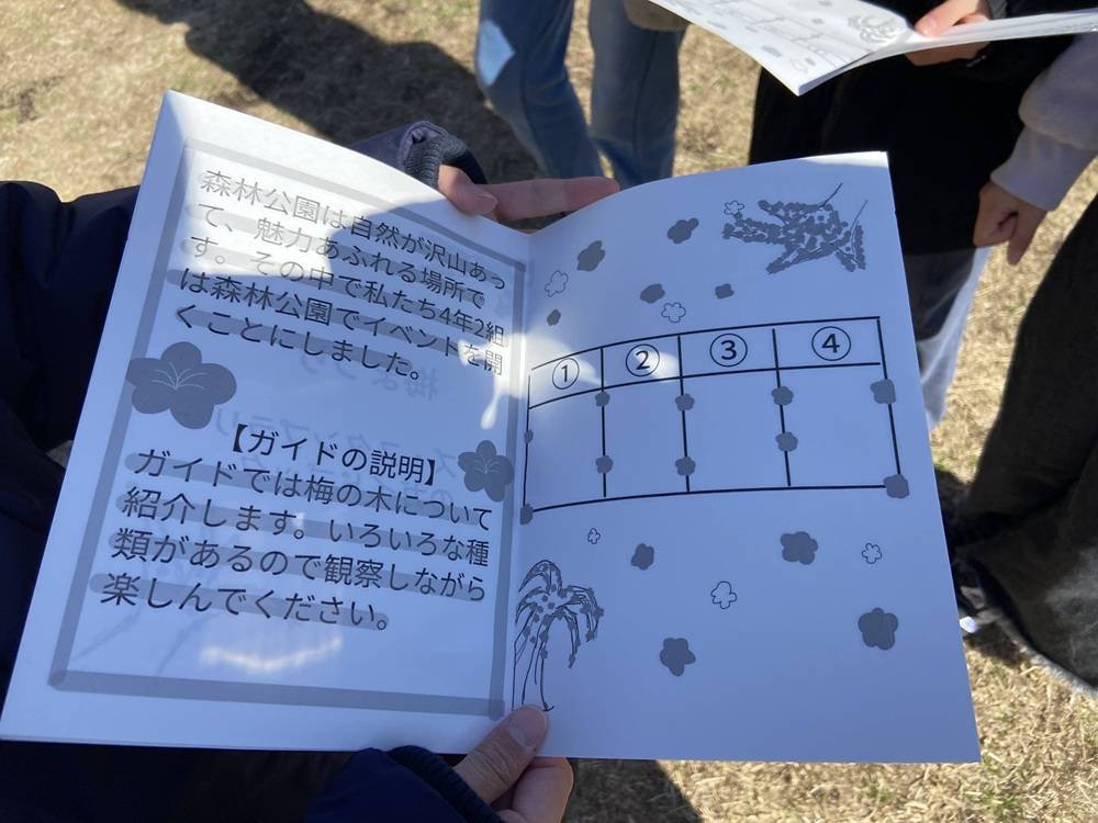 根岸森林公園「梅まつり」4年2組クイズポイントラリーの写真