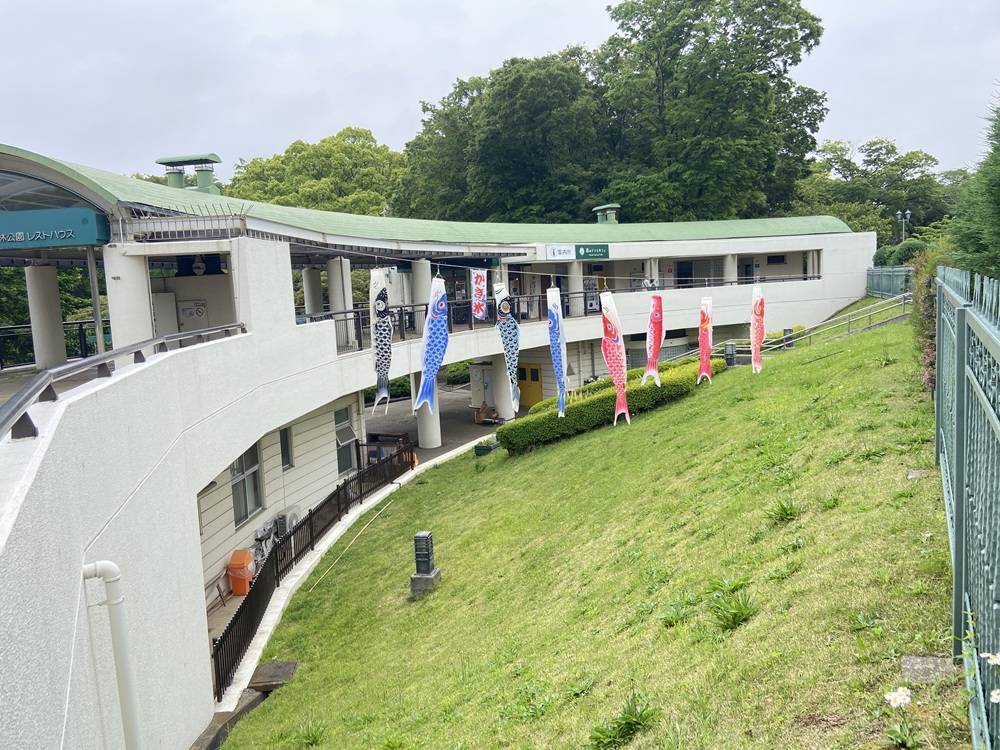 鯉のぼりの写真