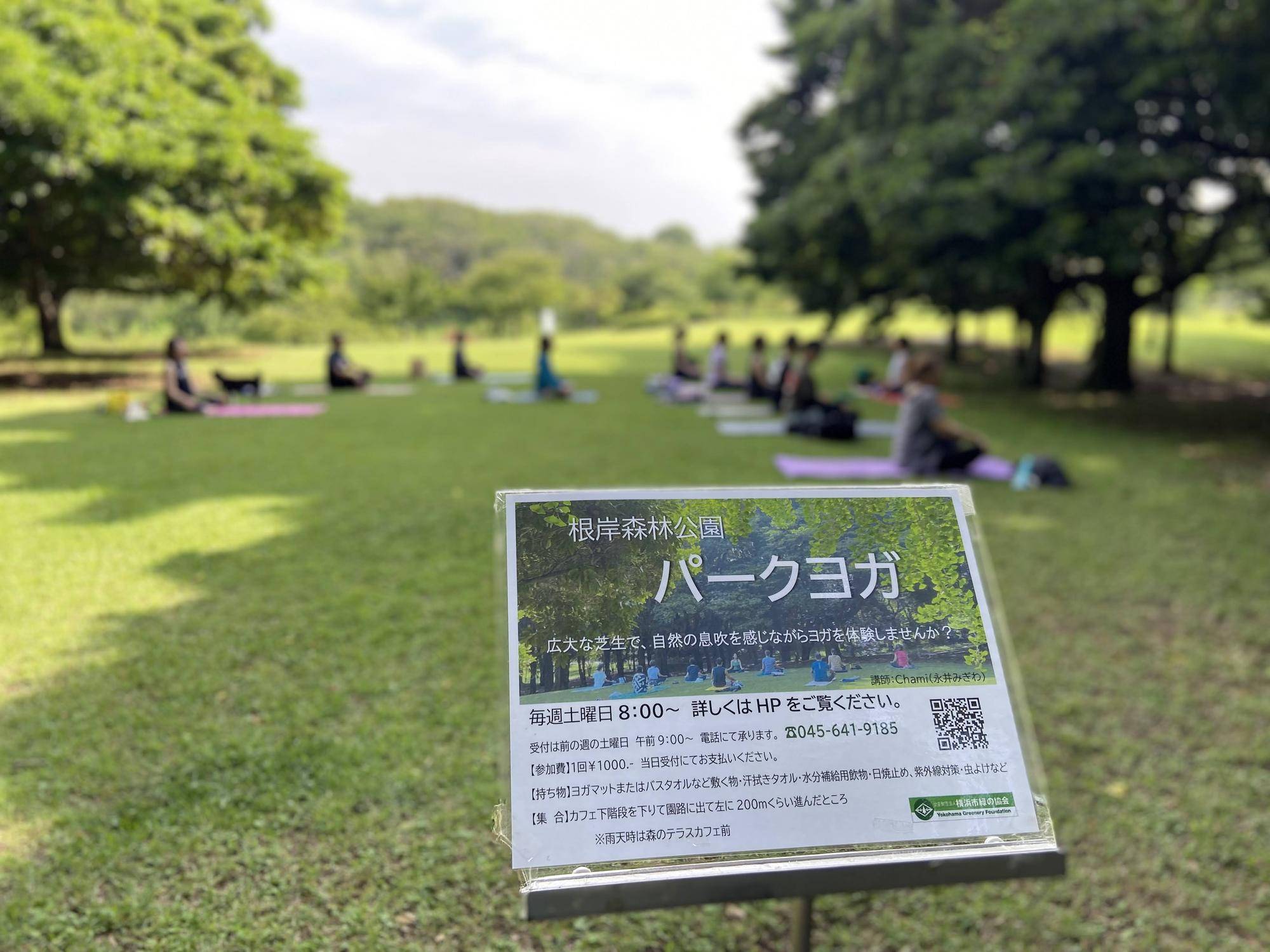  7月のパークヨガの写真
