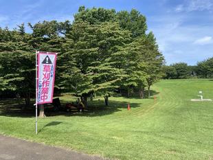 草刈り作業