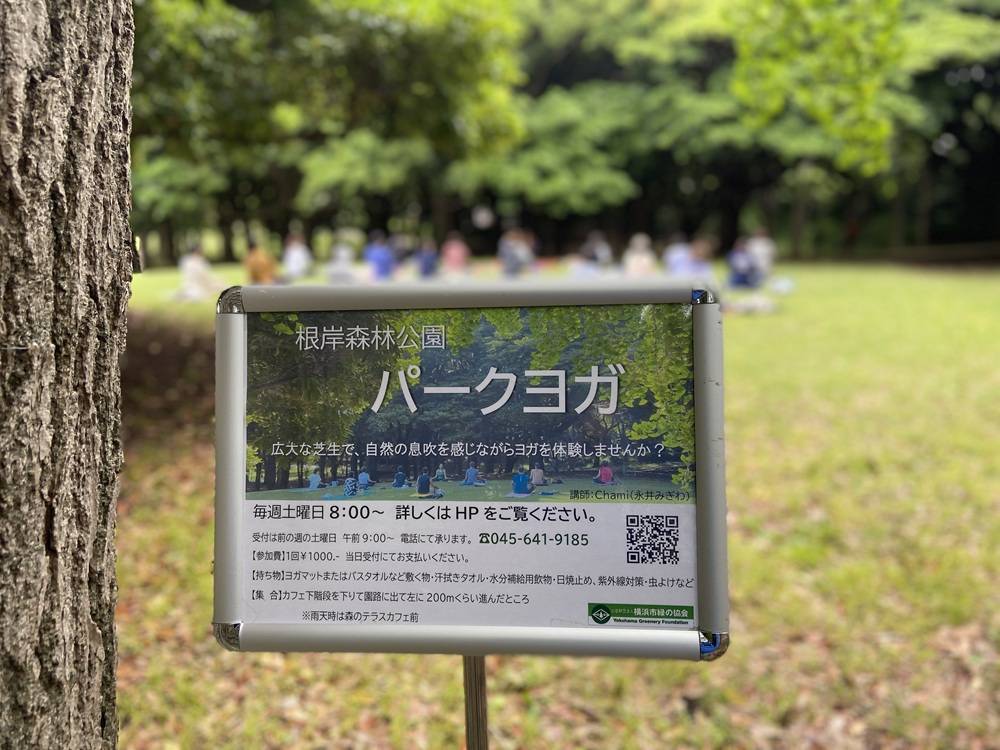 9月のパークヨガの写真