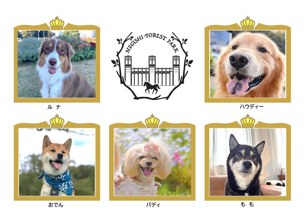  第5回わんわんアンバサダーコンテスト出場犬大募集の写真