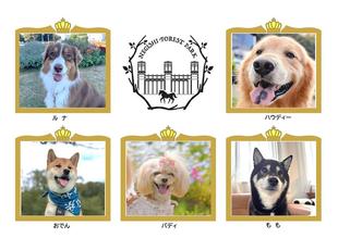  第5回わんわんアンバサダーコンテスト出場犬大募集