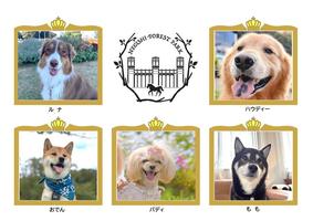  第5回わんわんアンバサダーコンテスト出場犬大募集