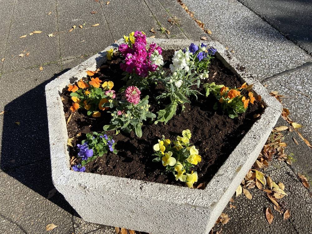 プランター (1).jpg