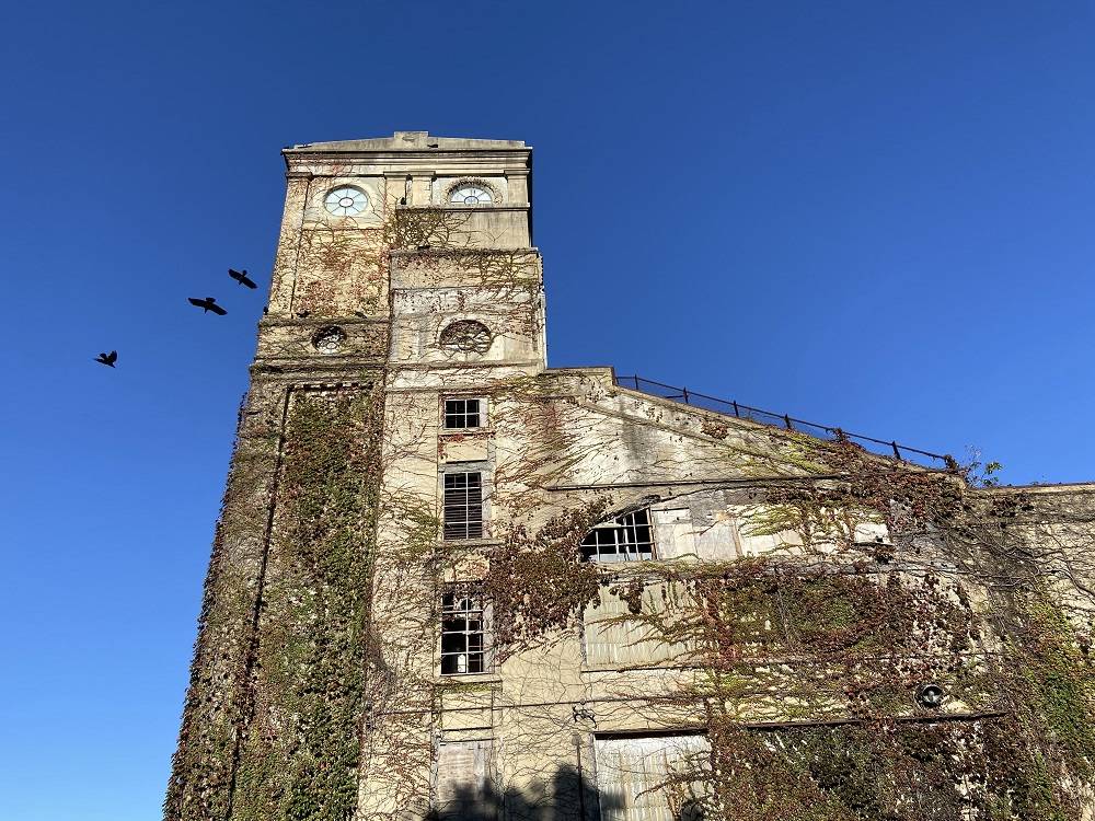 一等馬見所２ (2).jpg