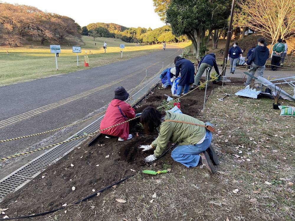 花壇植え付け (1).jpg