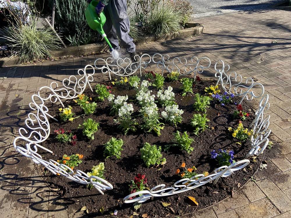 園内の花壇|｜ブログ|根岸森林公園公式サイト｜公益財団法人 横浜市緑