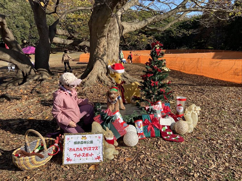 わんわんクリスマス3.jpg