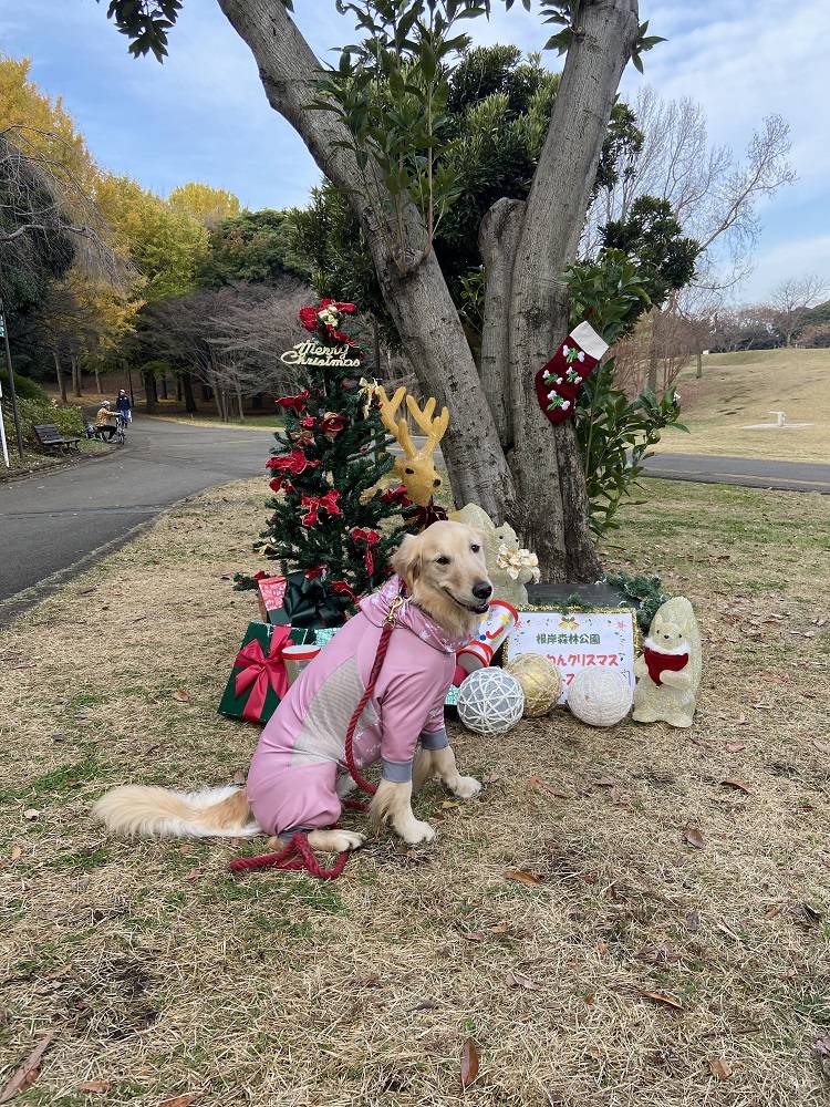 クリスマスフォトスポット (2).jpg