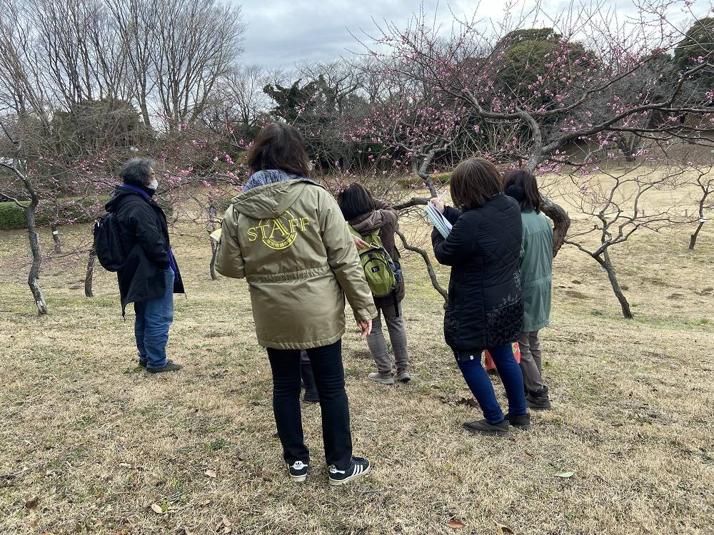 梅の調査２.jpg