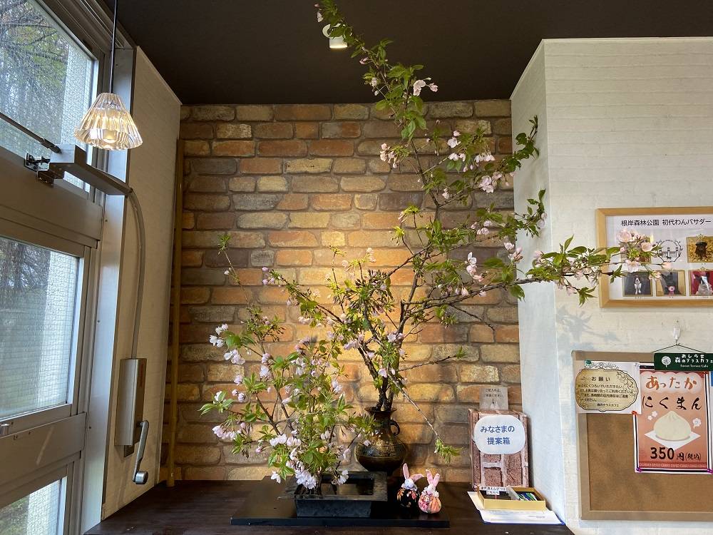 カフェ桜2.jpg