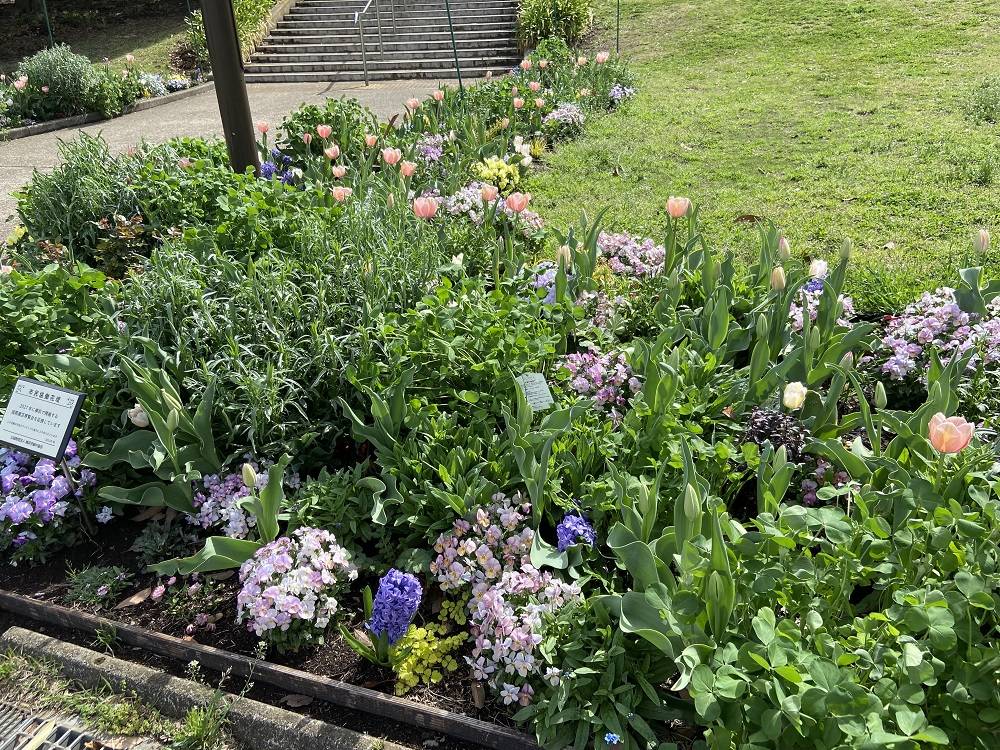 市民共同花壇.jpg