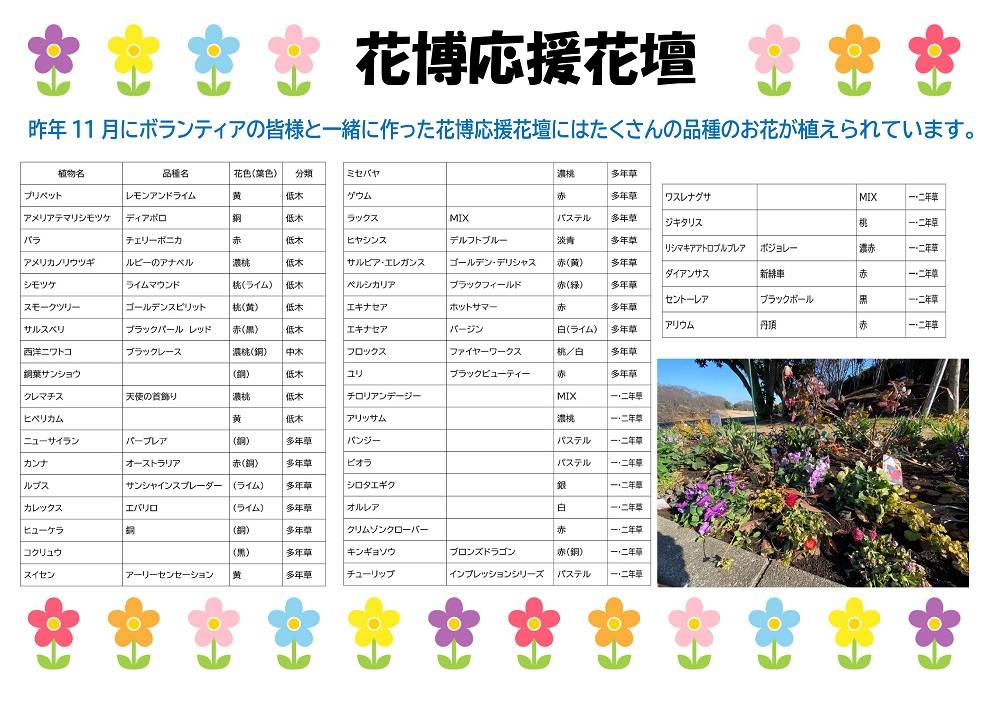 花博応援花壇の花.jpg