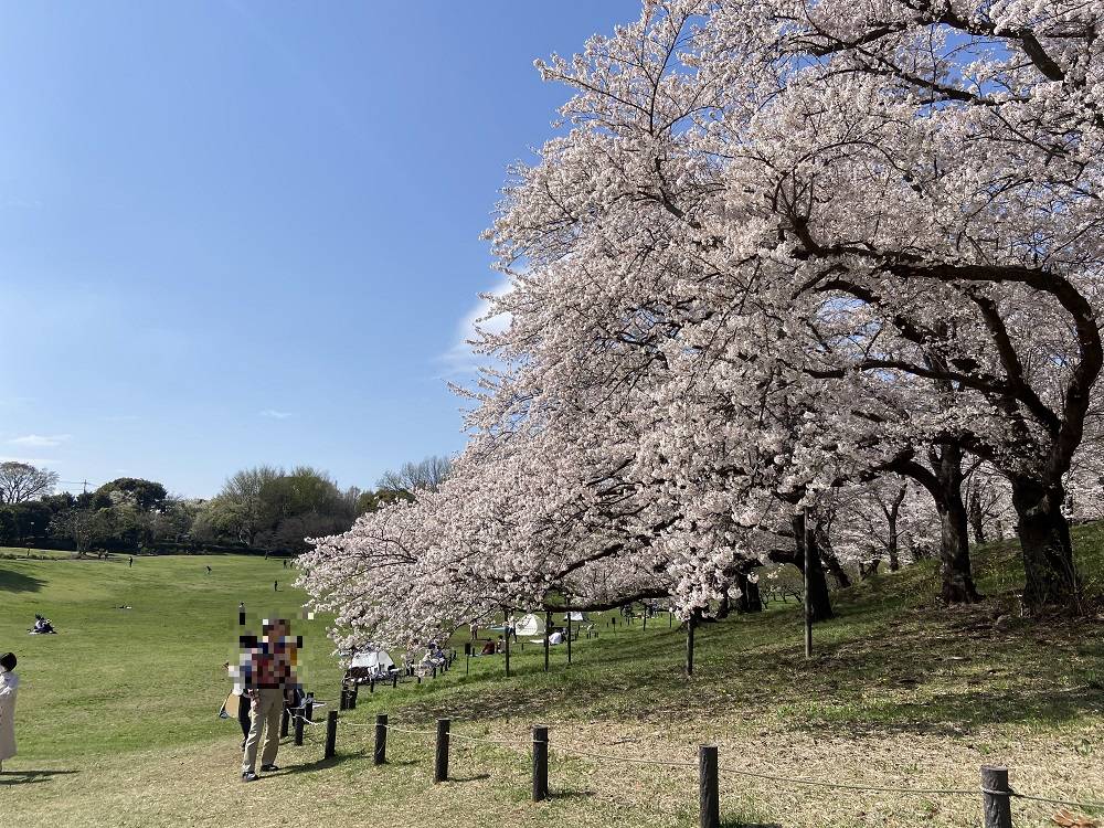 高品質　桜めのう カーネリアン　共生　フリーフォーム　浄化　癒し 高品質 桜めのう カーネリアン 共生 フリーフォーム 浄化 癒し mii