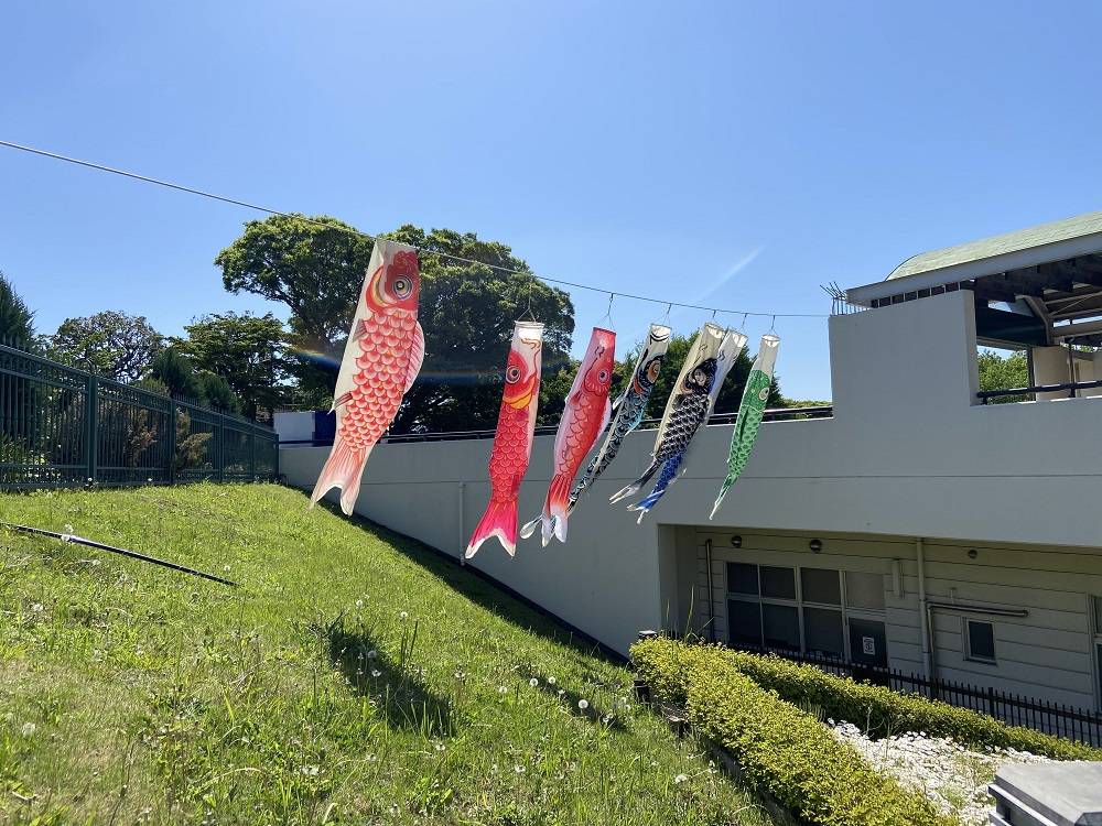 鯉のぼり|｜ブログ|根岸森林公園公式サイト｜公益財団法人 横浜市緑の協会