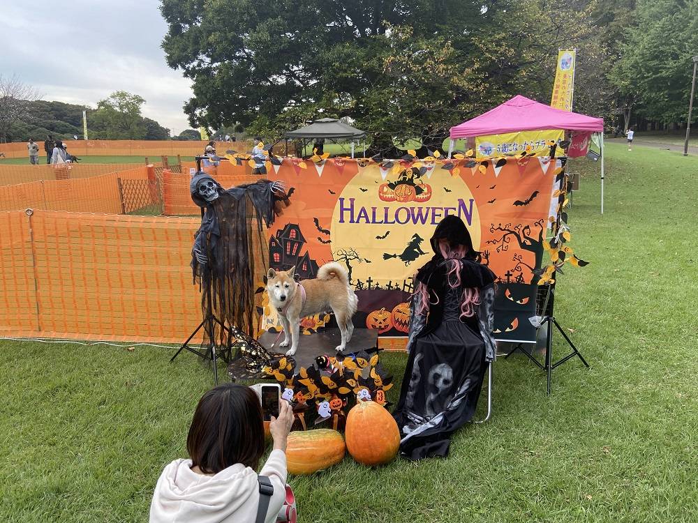 わんわんハロウィン3.jpg