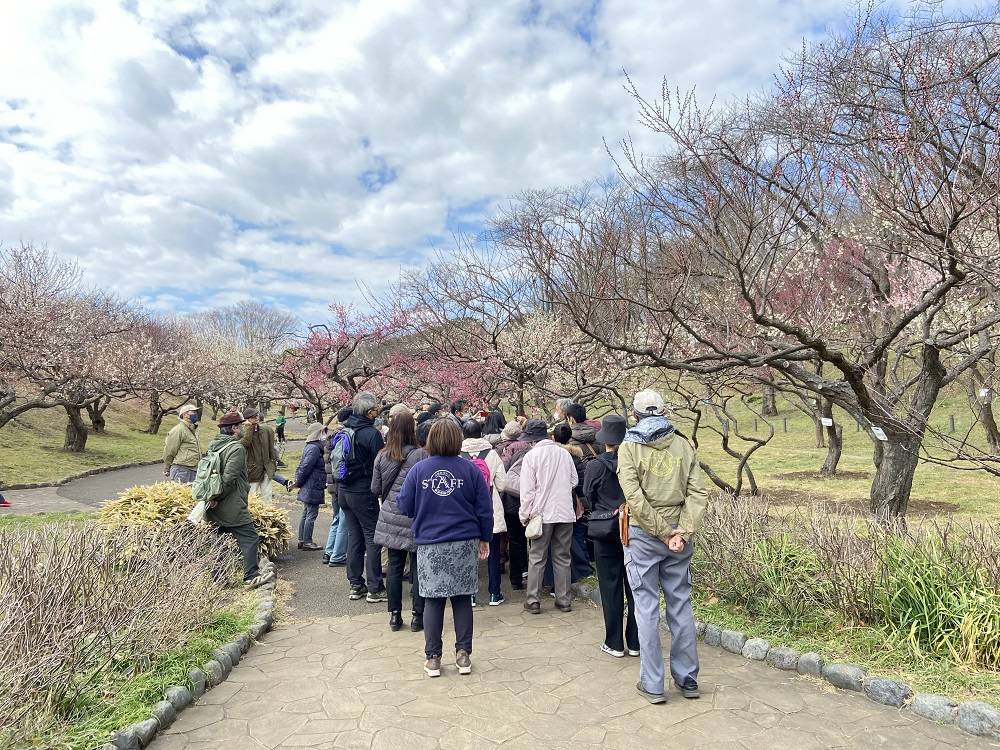 梅ガイドツアー.jpg