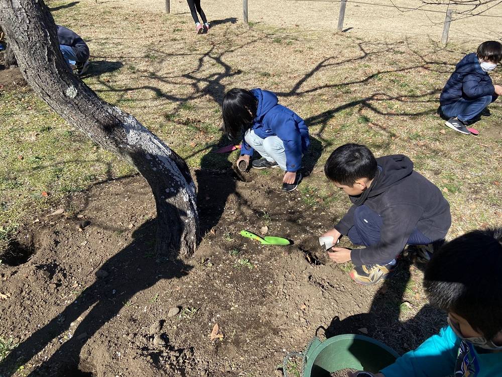 施肥の様子2 (2).jpg