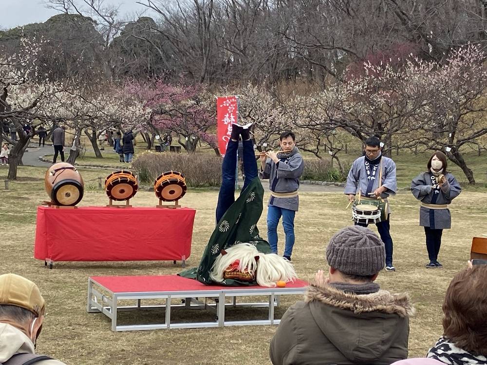 梅まつり獅子舞.jpg