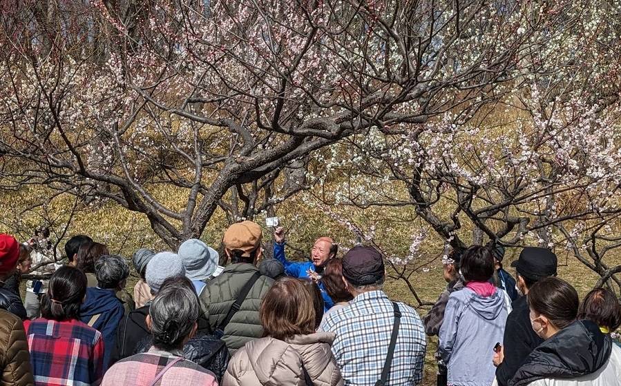 梅ガイドツアー (2).jpg