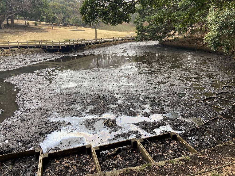 水を向いた後の池.jpg