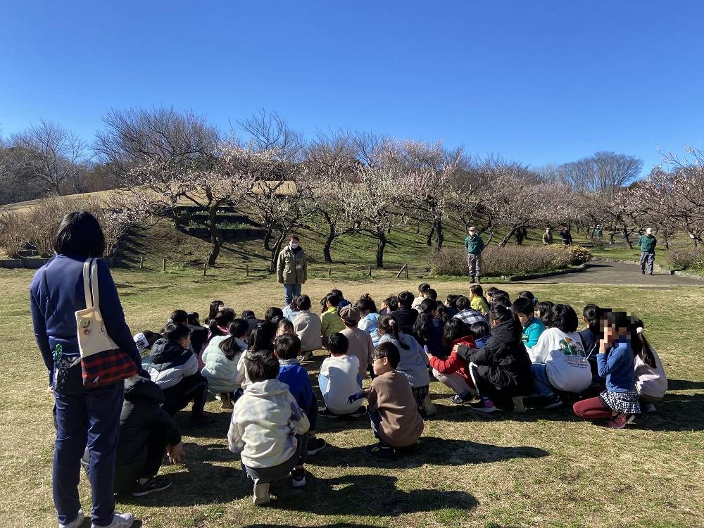 バイリンジャー集合 (1).jpg