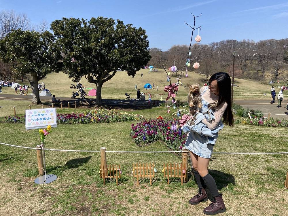 イースターフォトスポット1.jpg