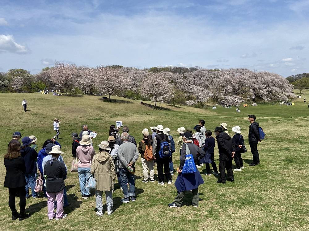 桜ガイドツアー桜山 (1).jpg