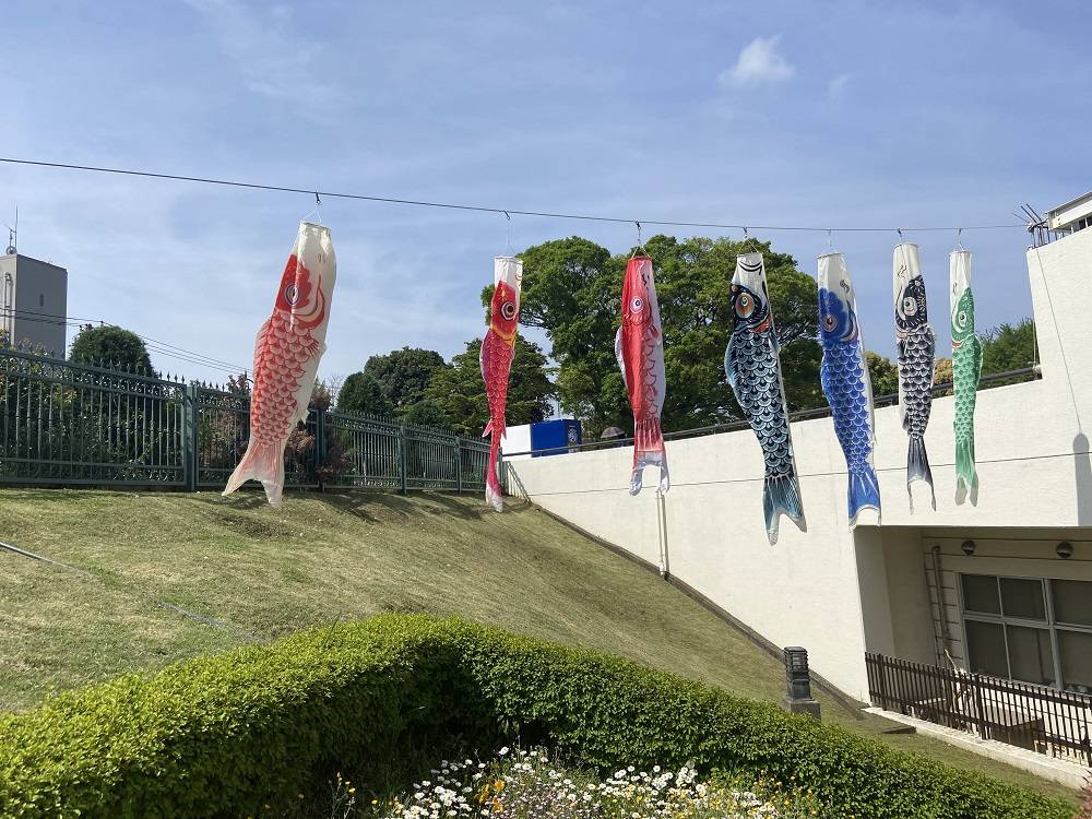 鯉のぼり|｜ブログ|根岸森林公園公式サイト｜公益財団法人 横浜市緑の協会
